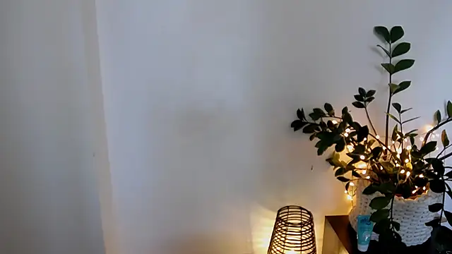 Xentthia webcam