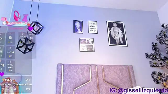 Liincostelloo webcam