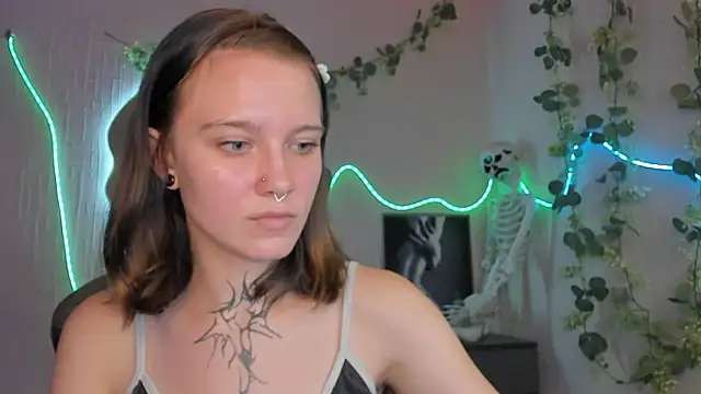 Elastikisss webcam