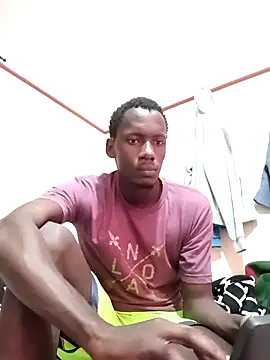 fliptyce webcam