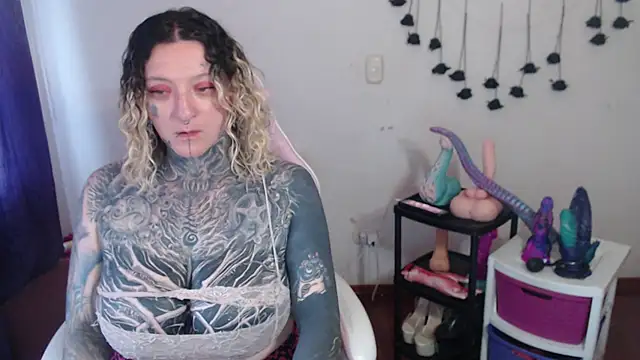 SLOPPYTITSS webcam