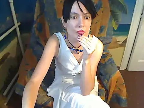 Bastet12 webcam