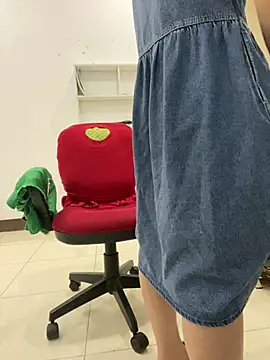 Hatasimi webcam