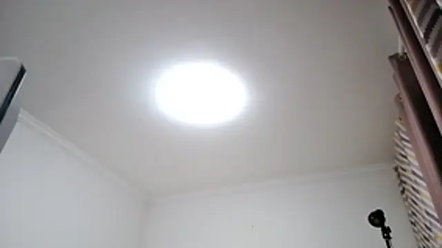 zhuzhu98 webcam