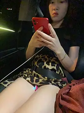 littleqiu webcam
