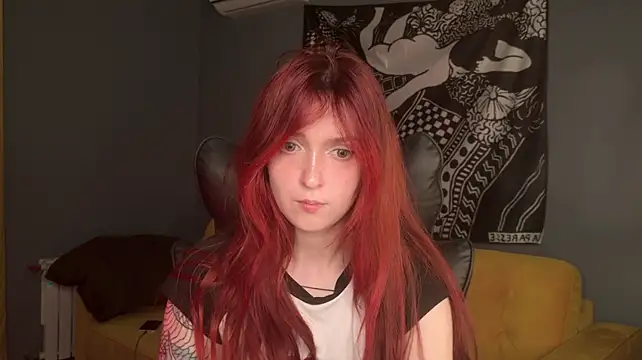 BellaSink webcam