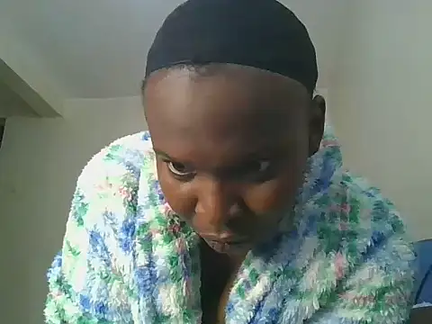 atess1178 webcam