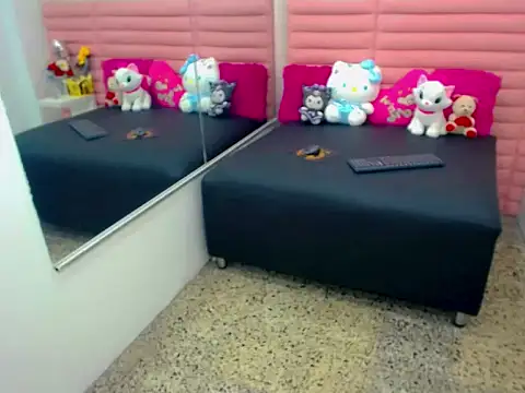 Palmer_skinny webcam