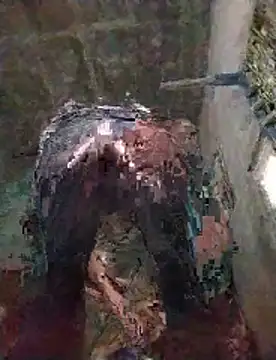 Anmolalone live cam preview