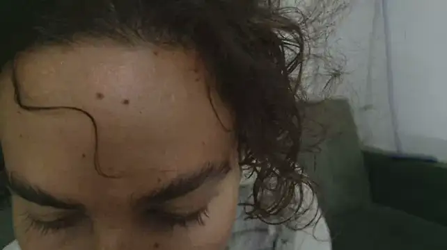 grey___27 webcam