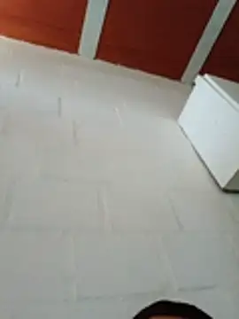 leo0_6666
