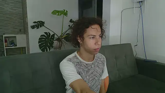 grey___27 webcam
