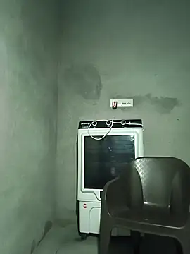 Veticonthewally webcam