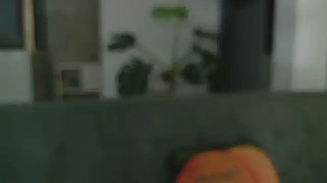 grey___27 webcam
