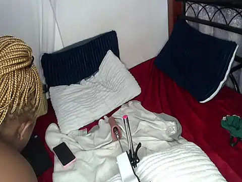 Whimsicalwillow webcam