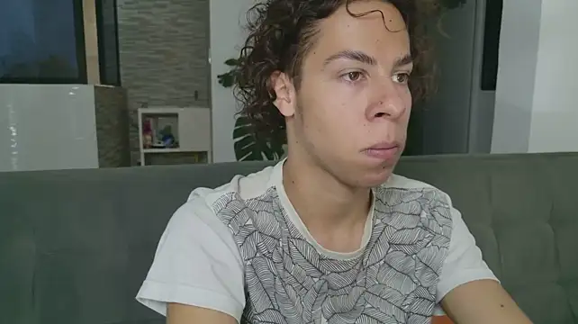 grey___27 webcam