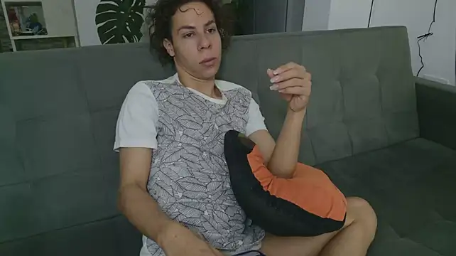 grey___27 webcam