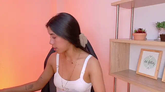 EmmiShery webcam