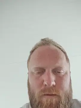 GingerFun webcam