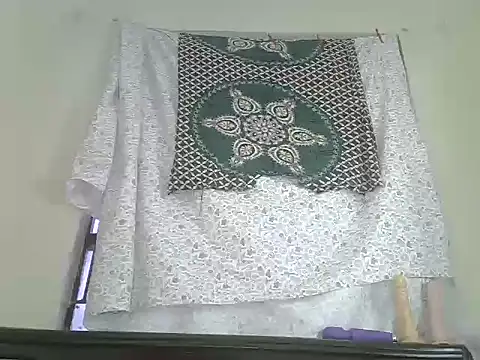 phena_zara webcam