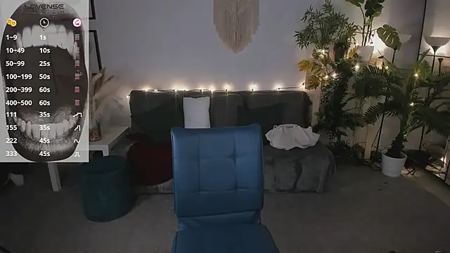 evathority webcam