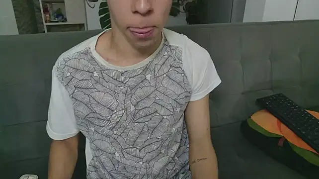 grey___27 webcam