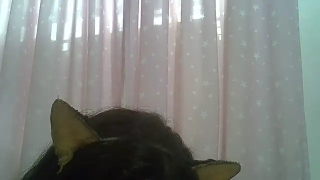 SkinnyKitten webcam