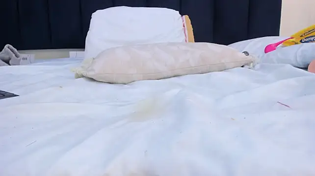 mayaevansmg
