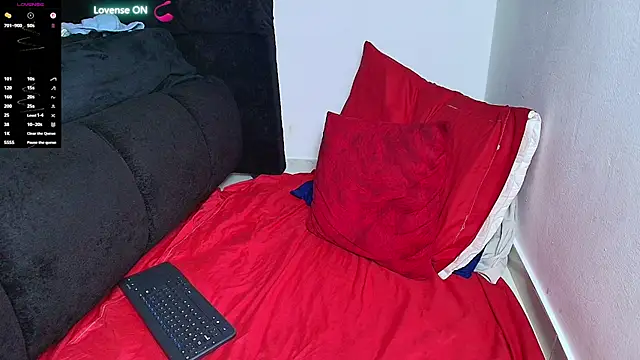 Roy-barney webcam