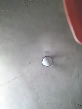 mvp-019 webcam