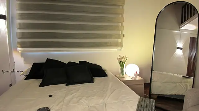 MERIDA_TAYLOR webcam