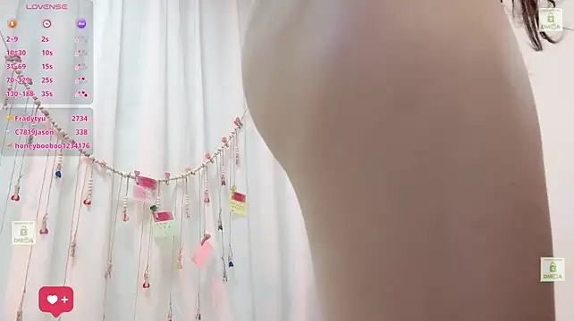 Yoyo_520 webcam