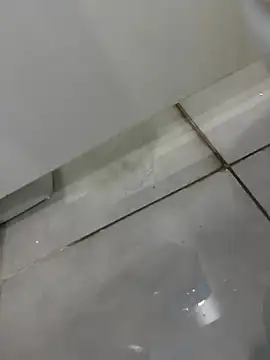 Turkishleo webcam