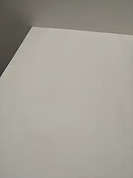 Rouse_07 webcam