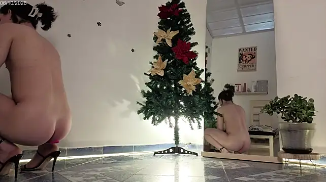 ArtMaria webcam