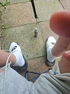 Dash16565 webcam