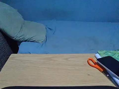 skiins webcam