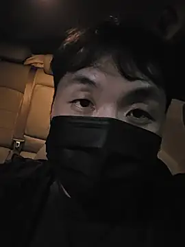 korguyko webcam