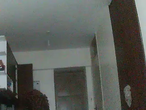shy_bitchh webcam