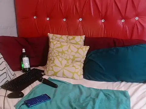 BaselBlues webcam