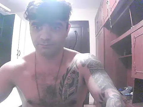 projectdivad webcam