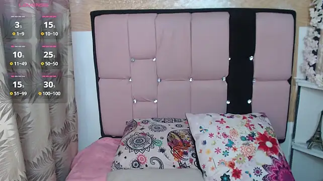 palmer_mIix webcam