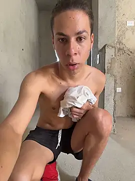 grey___27 webcam