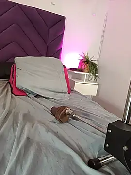 haileystone webcam