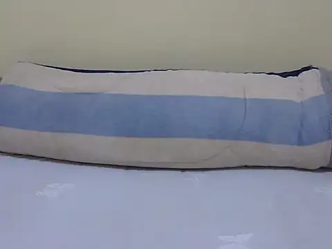 Scate webcam