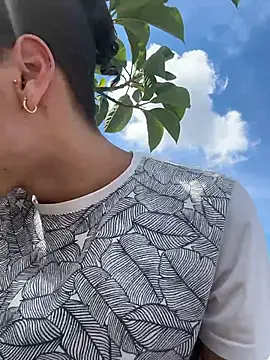 grey___27 webcam