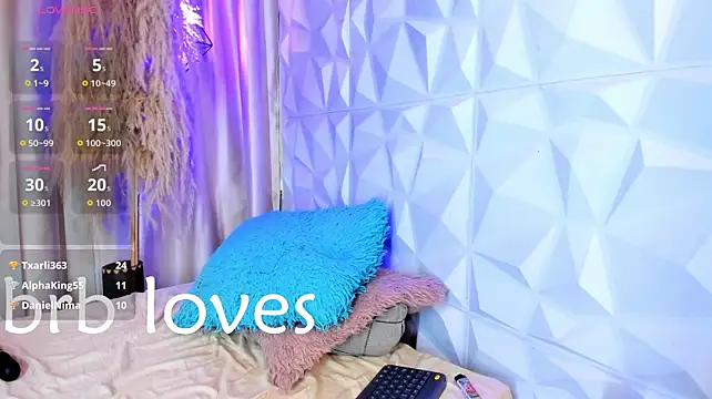 Jaadewest webcam