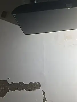 ColdVisitor webcam