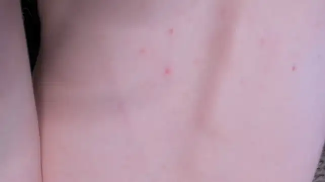 Dreamgirl77777 webcam