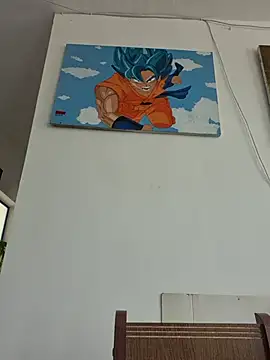 IrisBound webcam